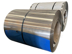 ملف Winsco المعدني من الفولاذ المقاوم للصدأ Slie Edge 20134316